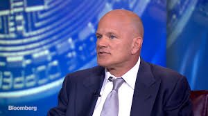 Mike Novogratz Thinks a Crypto Mass Adoption is 5 to 6 Years Away from Now