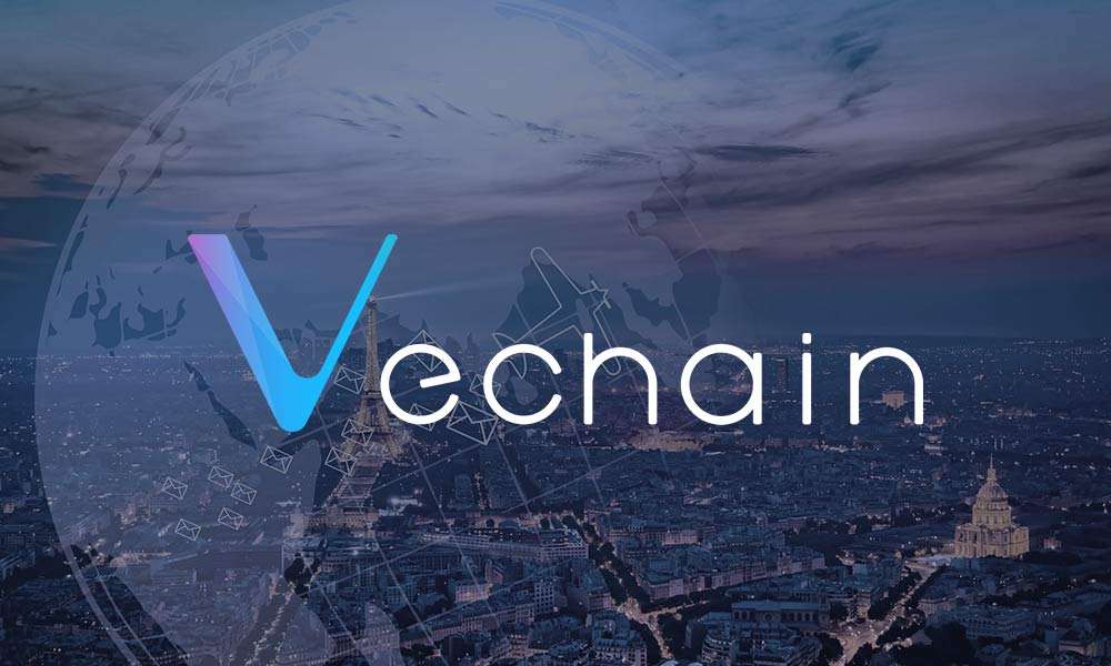  token minted vechainthor blockchain ecosystem vet foundation 