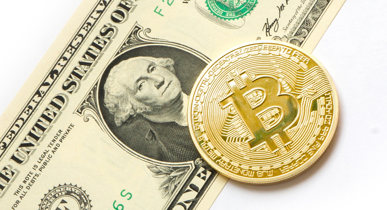  bitcoin gallup poll btc investors intrigued only 