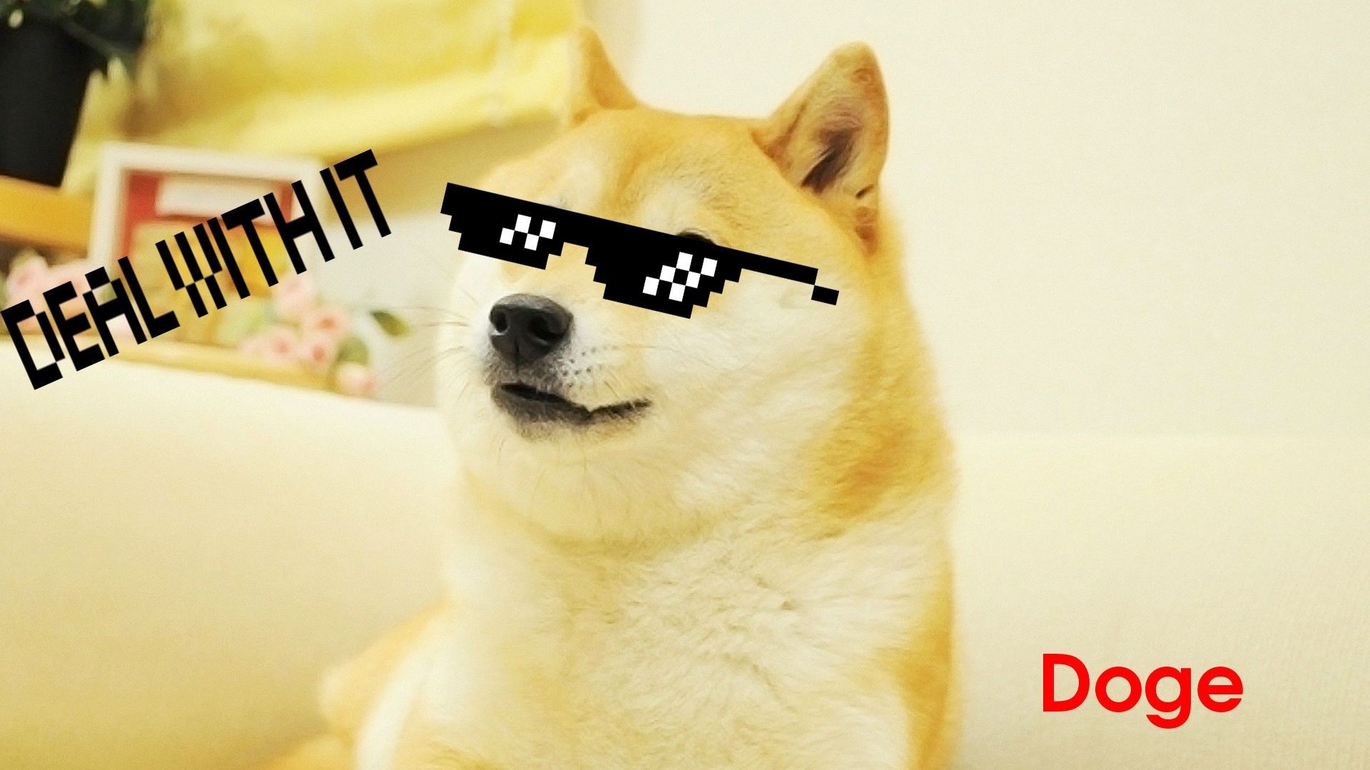 Win 2 ETH by Disguising a Cat as a Doge
