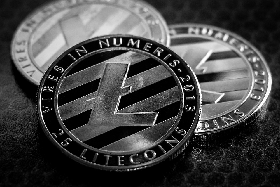Gemini To Introduce Litecoin Support, LTC Surges