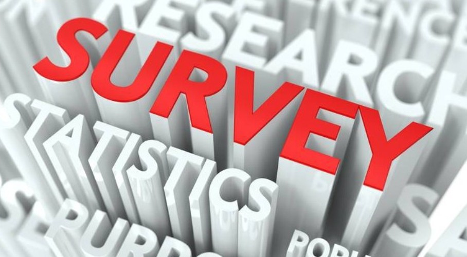  most crypto people value survey bitcoin want 