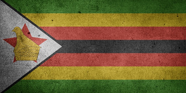  cryptocurrency finance zimbabwe minister new crisis zimbabwean 