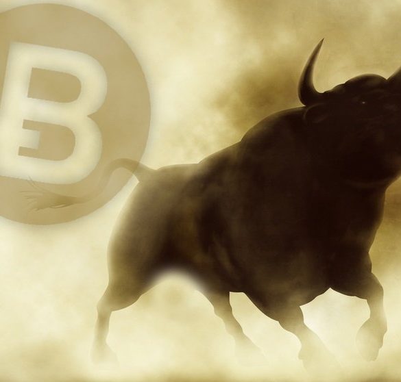Bitcoin is Set to New Highs, Spencer Bogart Says 14