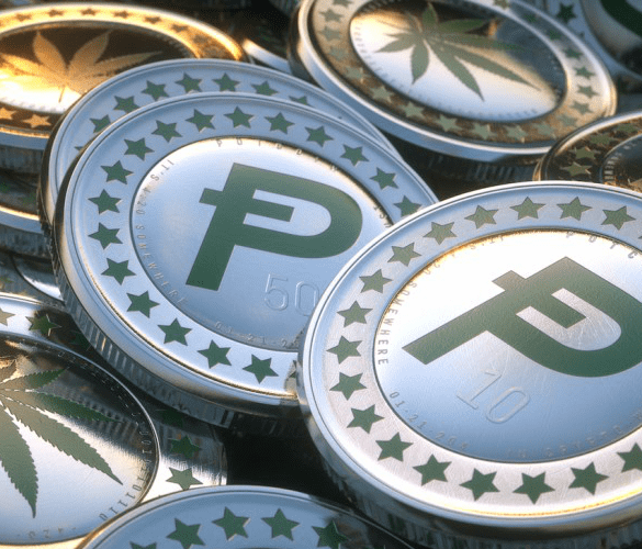 Potcoin Pumped on IBM Encouragement