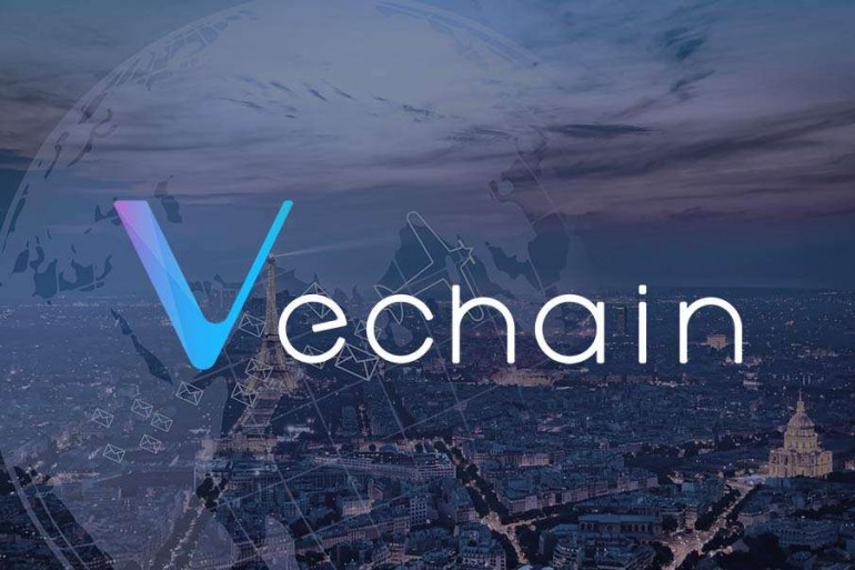 VeChain investing now