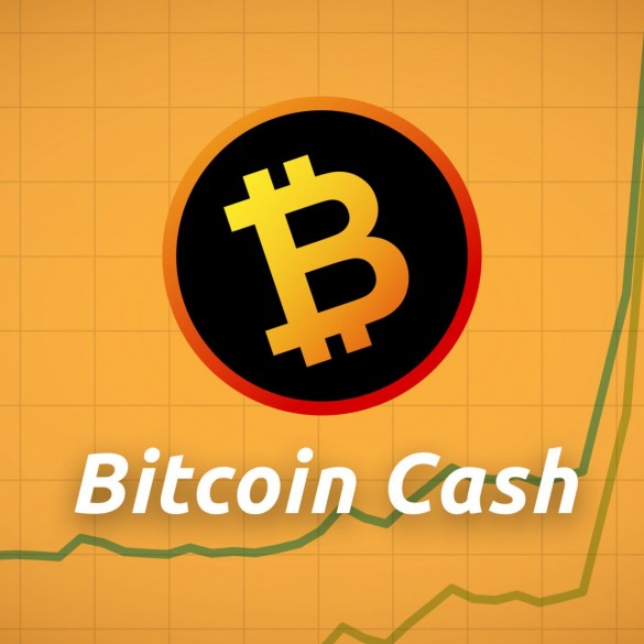 Bitcoin Cash (BCH) Users Could Soon See 'Free' Transactions Become A Reality 11