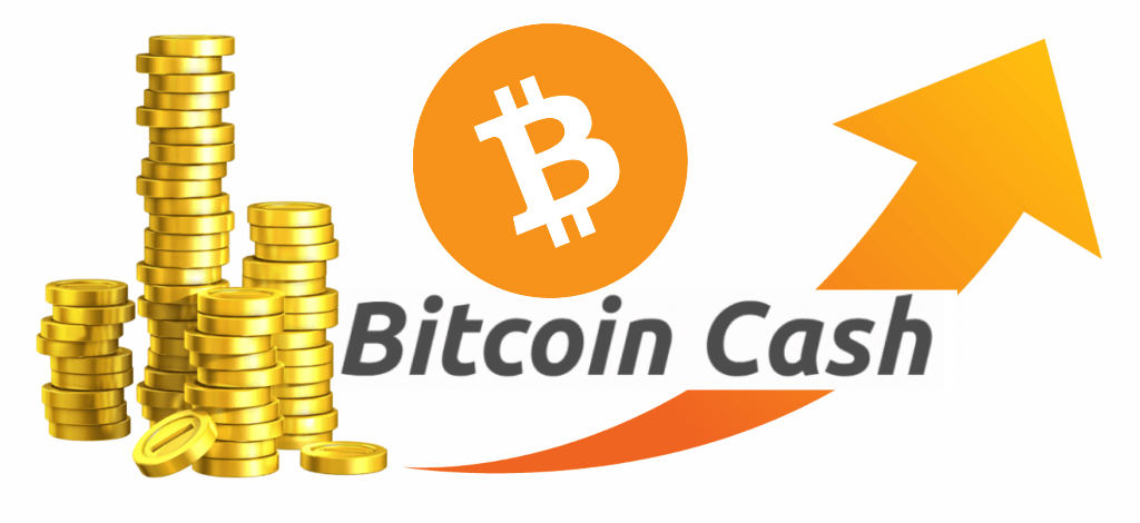 who is supporting bitcoin cash