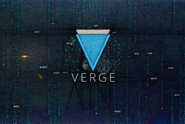 Verge long term investment