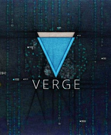 Verge long term investment