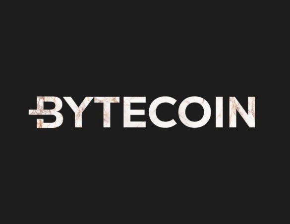 Amidst Shake Up, FUD, Bytecoin (BCN) Price Skyrockets 13