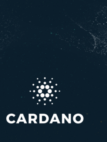 Cardano CNBC Undervalued