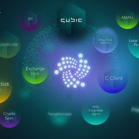IOTA (MIOTA) Working On Close To 20 Projects, Pushing For Mass Adoption 10
