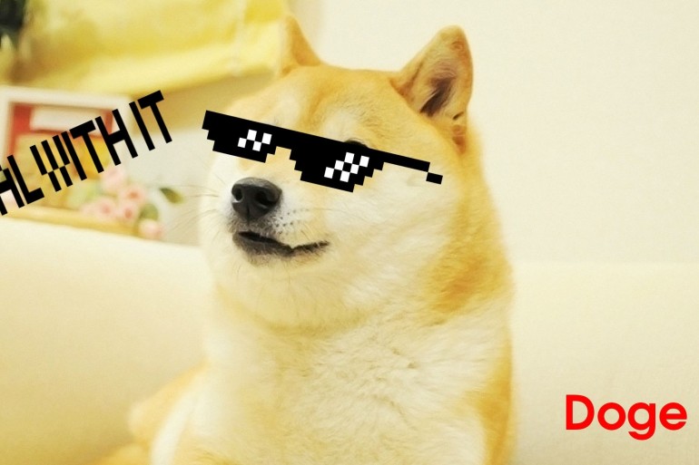 Win 2 ETH by Disguising a Cat as a Doge 20