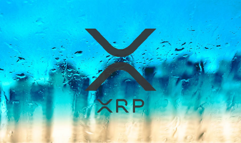 Ripple XRP Token Invest