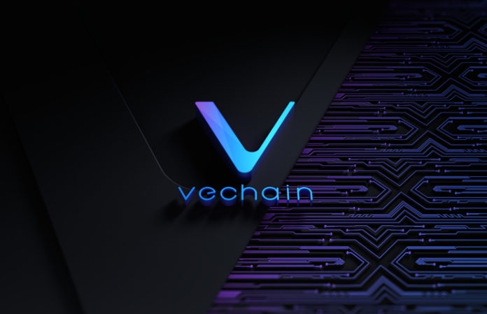 VeChain Blockchain Vet