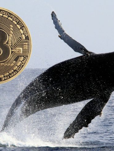 Bitcoin (BTC) Whales Making a Splash: Did 9 Transactions Valued at $236m Spark the Market? 12