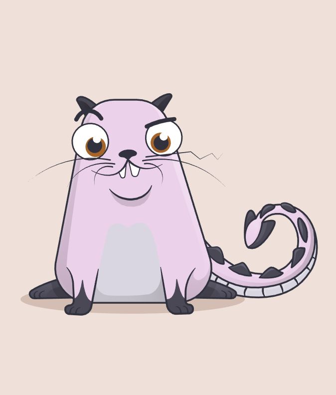 World's Most Expensive CryptoKitty Sold For 600 ETH ($170,000) 11