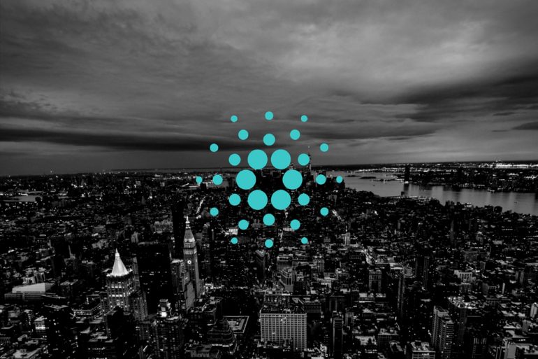 Cardano Founder Comments