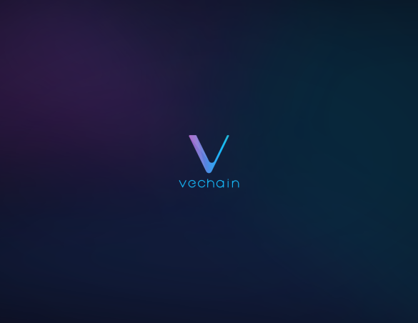 VET VeChain Future Developments