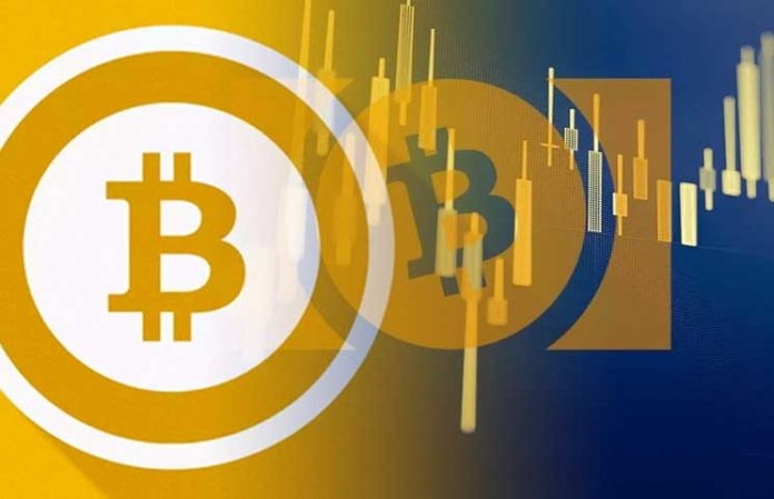 Forget BCH! There Is a New "Real Bitcoin" In Town According to Calvin Ayre 16