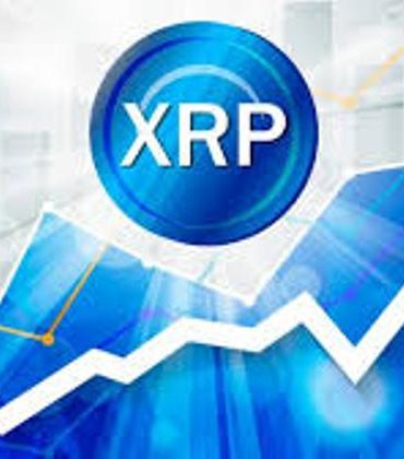XRP Retains Position 2 Amid A Market-Wide Bullish Rebound 14