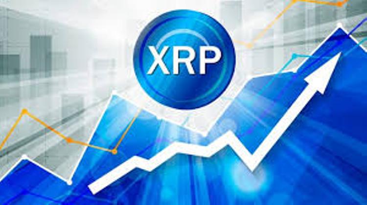XRP Retains Position 2 Amid A Market-Wide Bullish Rebound 10