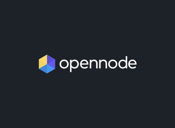 Tim Draper Backed OpenNode Startup Raises $1.25 Million to Develop its Bitcoin (BTC) Payment Processing Platform 11