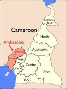 Separatist Movement in Cameroon Promotes an ICO to Support its Cause 14