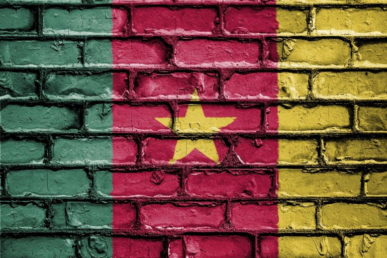 Separatist Movement in Cameroon Promotes an ICO to Support its Cause 15