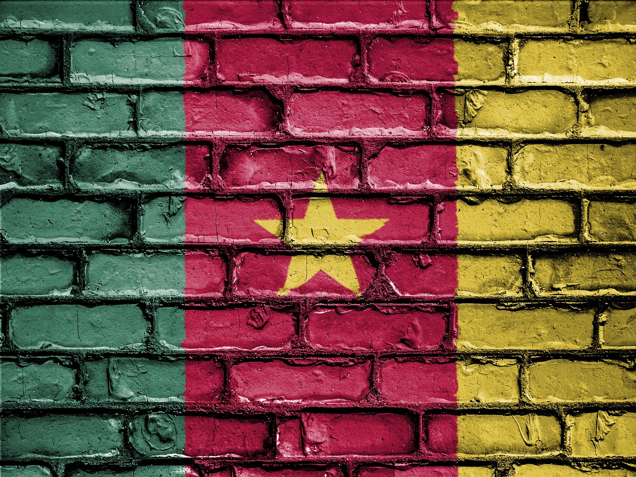 Separatist Movement in Cameroon Promotes an ICO to Support its Cause 15