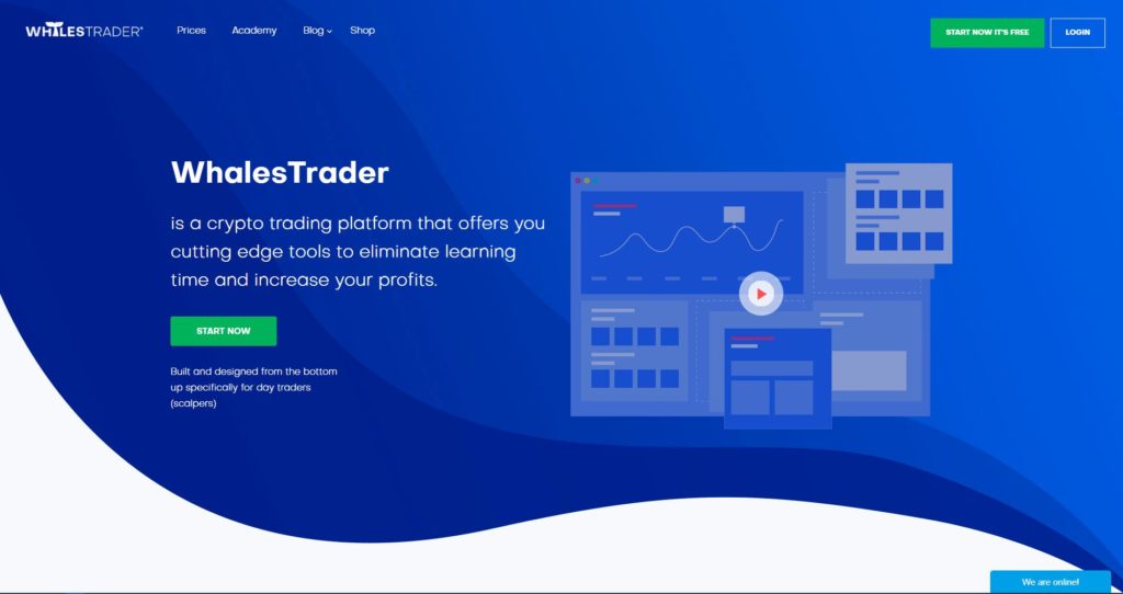 WhalesTrader: How Does This Platform Help Crypto Traders? 11