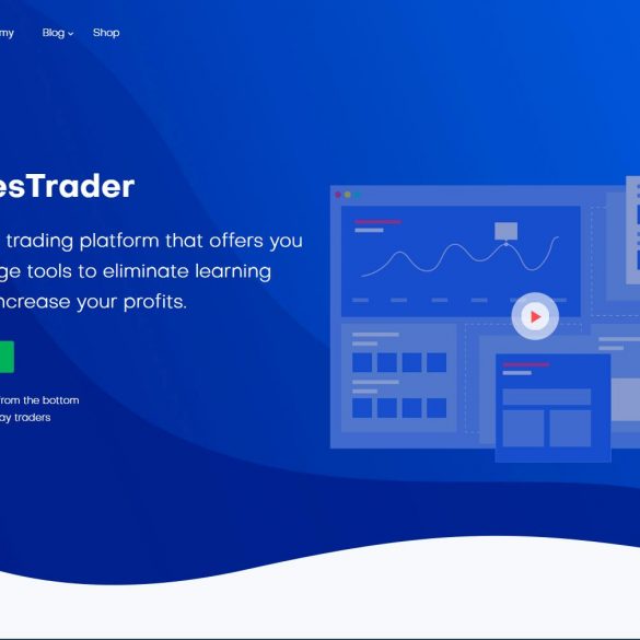 WhalesTrader: How Does This Platform Help Crypto Traders? 13