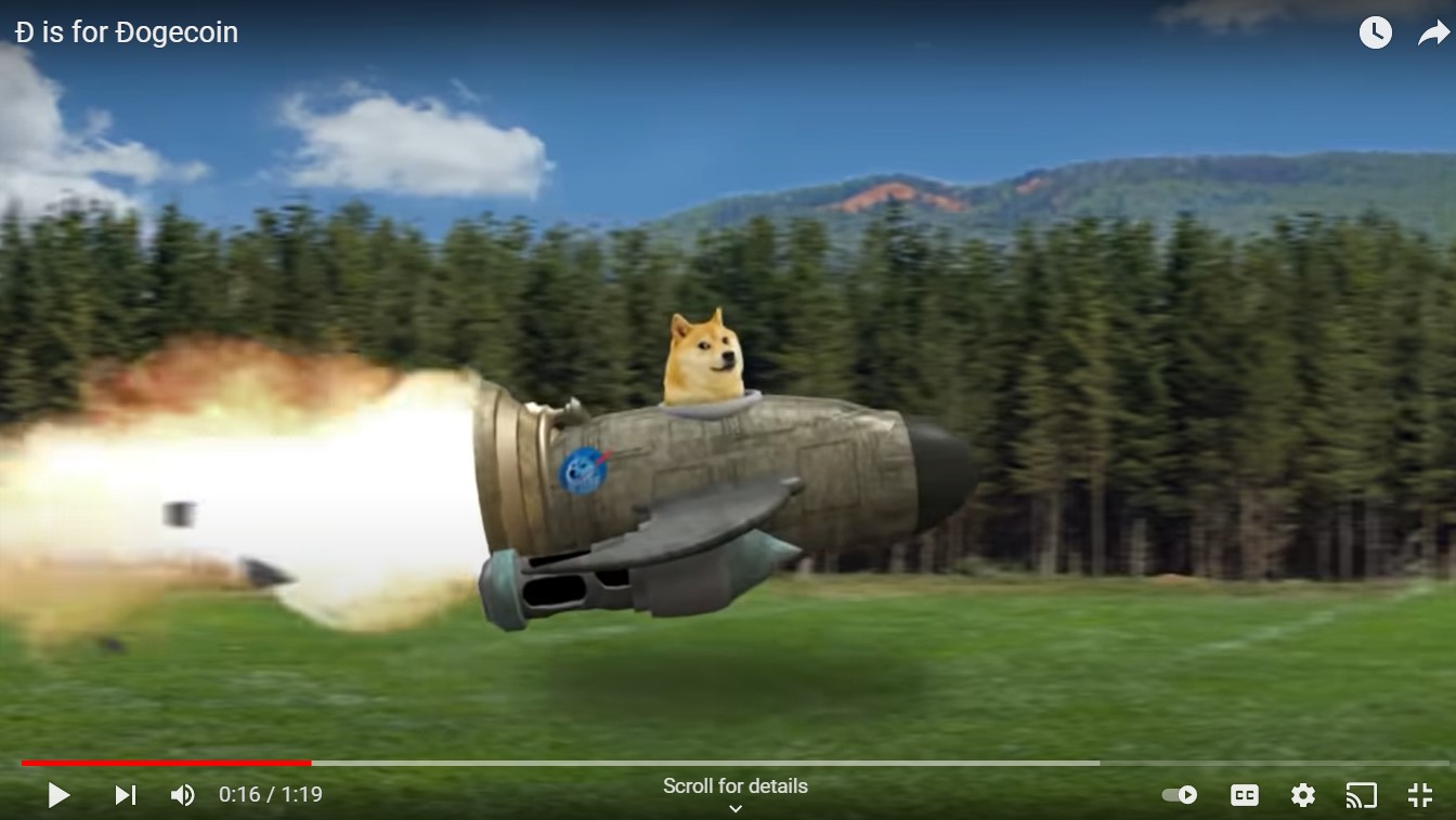 Elon Tweets Video Explaining Everything About Dogecoin 14